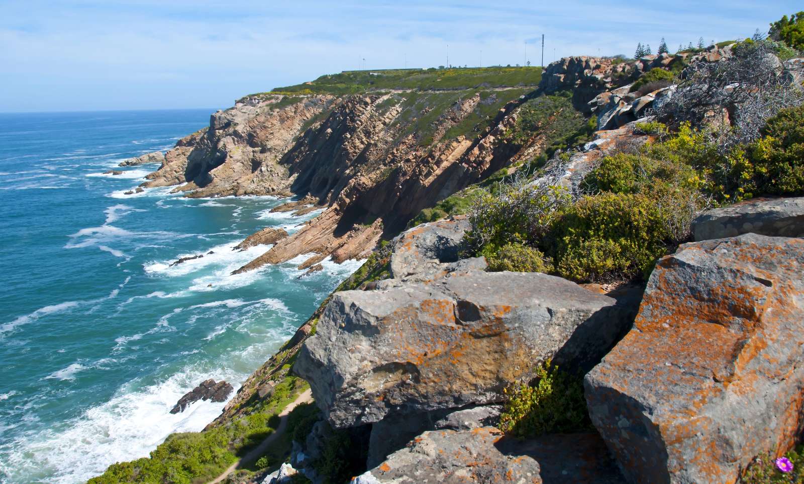 Steilküste mit Fynbos und Brandung am St Blaize Trail bei Mossel Bay
